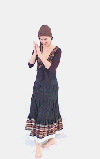 gif_V Romanin