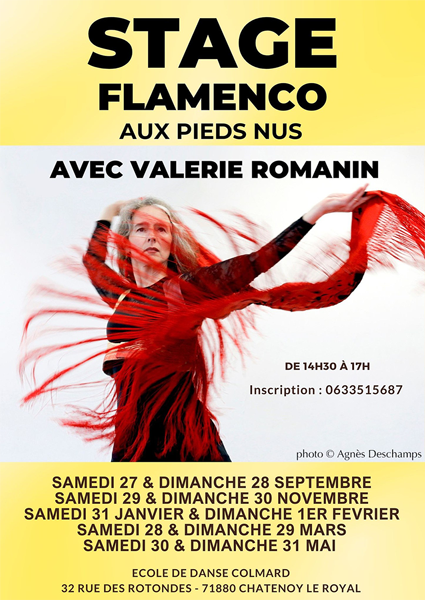 Formation en Bourgogne, saison 2025/26