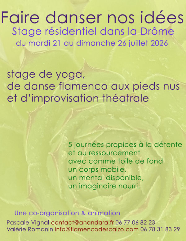 Stage résidentiel juillet 2026