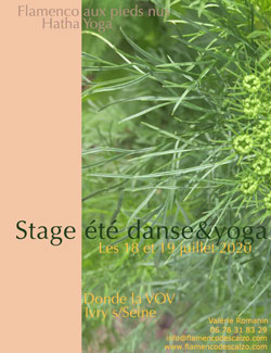 stage été 2020